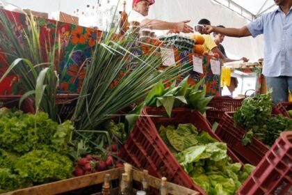 Decreto adia exigência de CNPJ para autônomos e produtores rurais