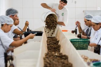 Consulta sobre bens sustentáveis no acordo Mercosul–UE acaba na quarta