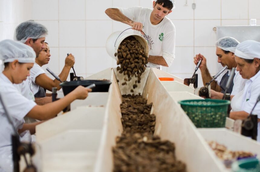 Consulta sobre bens sustent&aacute;veis no acordo Mercosul&ndash;UE acaba na quarta