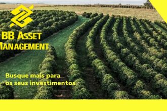Capa do Relatório Gerencial de 08/2026 do BBGO11 (BB FUNDO DE INVESTIMENTO DE CRÉDITO FIAGRO IMOBILIÁRIO RESPONSABILIDADE LIMITADA)