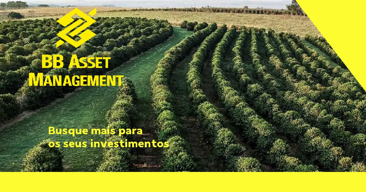 Capa do Relatório Gerencial de 08/2026 do BBGO11 (BB FUNDO DE INVESTIMENTO DE CRÉDITO FIAGRO IMOBILIÁRIO RESPONSABILIDADE LIMITADA)