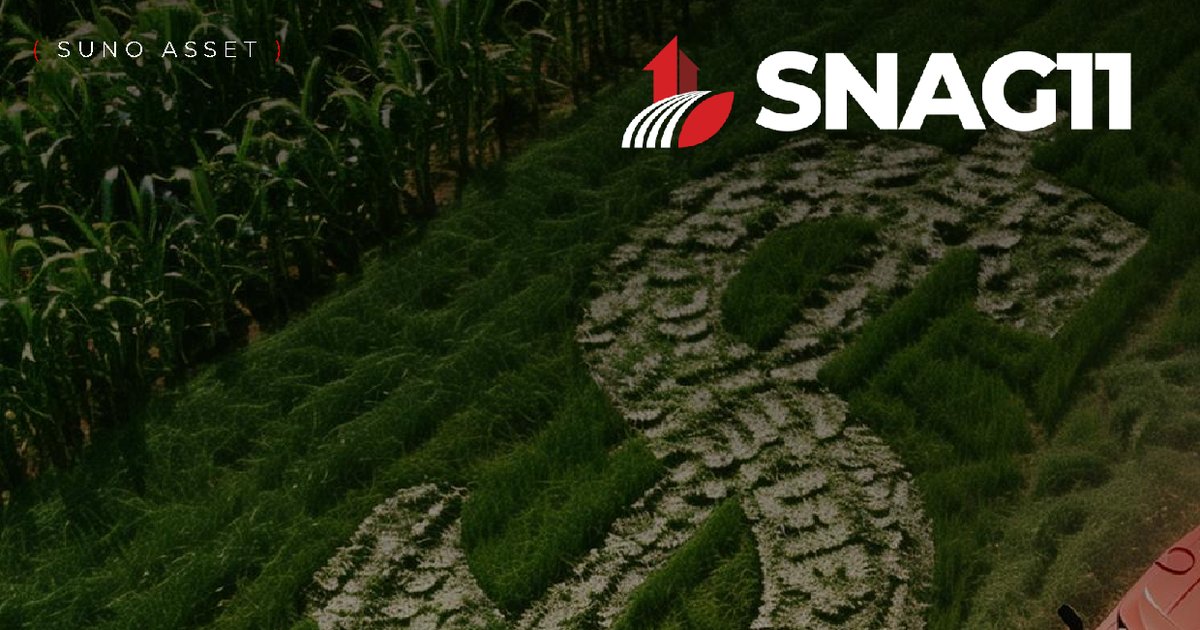 Capa do Relatório Gerencial de 08/2026 do SNAG11 (SUNO AGRO - FIAGRO RESPONSABILIDADE LIMITADA)