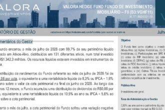Capa do Relatório Gerencial de 07/2026 do VGHF11 (VALORA HEDGE FUND FUNDO DE INVESTIMENTO IMOBILIÁRIO DE RESPONSABILIDADE LIMITADA)