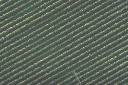 Capa do Relatório Gerencial de 08/2026 do XPCA11 (XP CRÉDITO AGRÍCOLA-FUNDO DE INVESTIMENTO NAS CADEIAS PRODUTIVAS AGROINDUSTRIAIS IMOB.-FIAGRO-IMOB.)