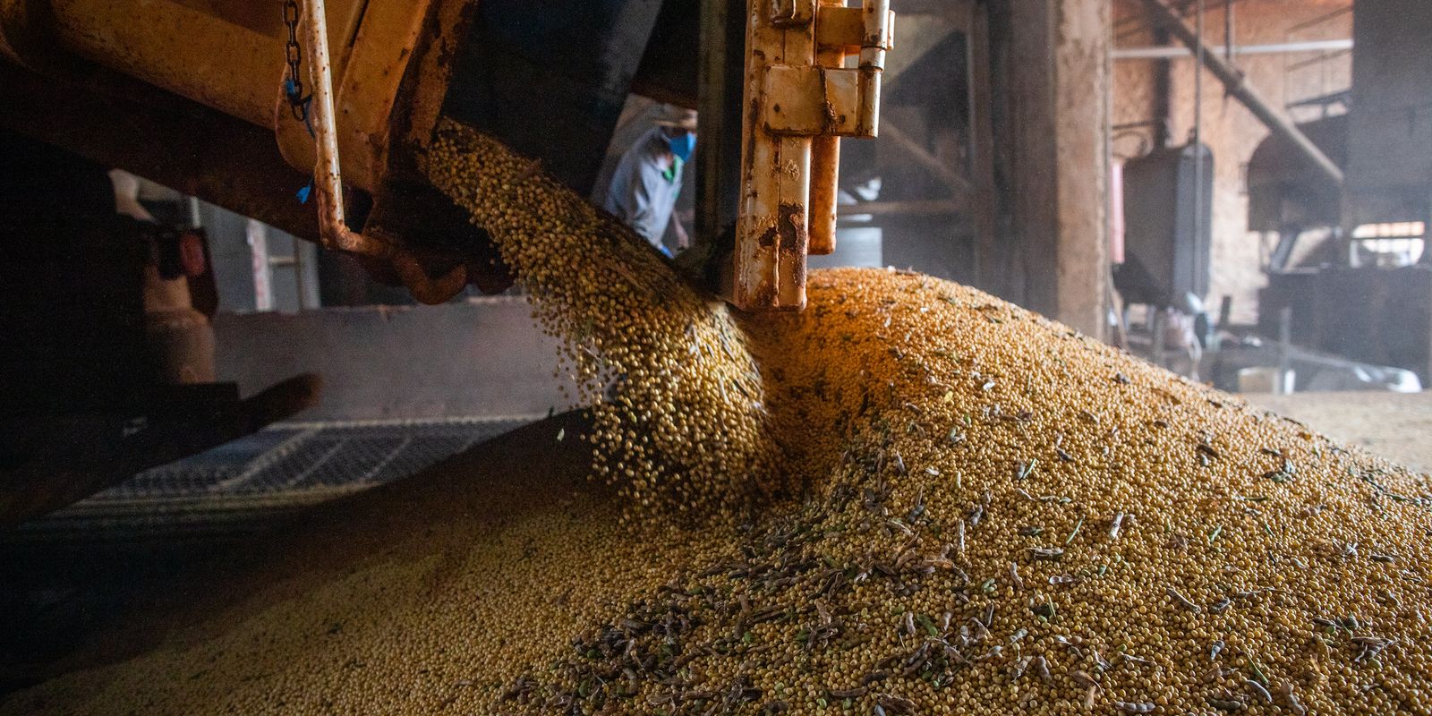Produção brasileira de grãos deve aumentar apesar do El Niño