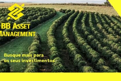Capa do Relatório Gerencial de 09/2026 do BBGO11 (BB FUNDO DE INVESTIMENTO DE CRÉDITO FIAGRO IMOBILIÁRIO RESPONSABILIDADE LIMITADA)
