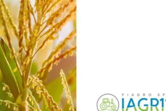 Capa do Relatório Gerencial de 08/2026 do IAGR11 (SFI INVESTIMENTOS FUNDO DE INVESTIMENTO NAS CADEIAS PRODUTIVAS DO AGRONEGÓCIO DE RESP LIMITADA)