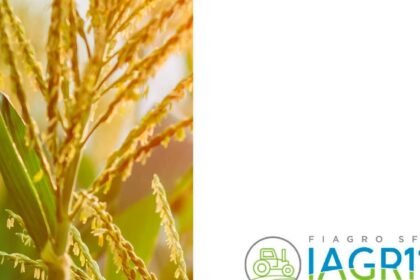 Capa do Relatório Gerencial de 08/2026 do IAGR11 (SFI INVESTIMENTOS FUNDO DE INVESTIMENTO NAS CADEIAS PRODUTIVAS DO AGRONEGÓCIO DE RESP LIMITADA)