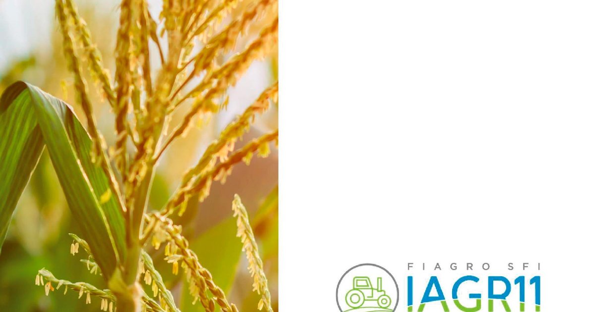 Capa do Relatório Gerencial de 08/2026 do IAGR11 (SFI INVESTIMENTOS FUNDO DE INVESTIMENTO NAS CADEIAS PRODUTIVAS DO AGRONEGÓCIO DE RESP LIMITADA)