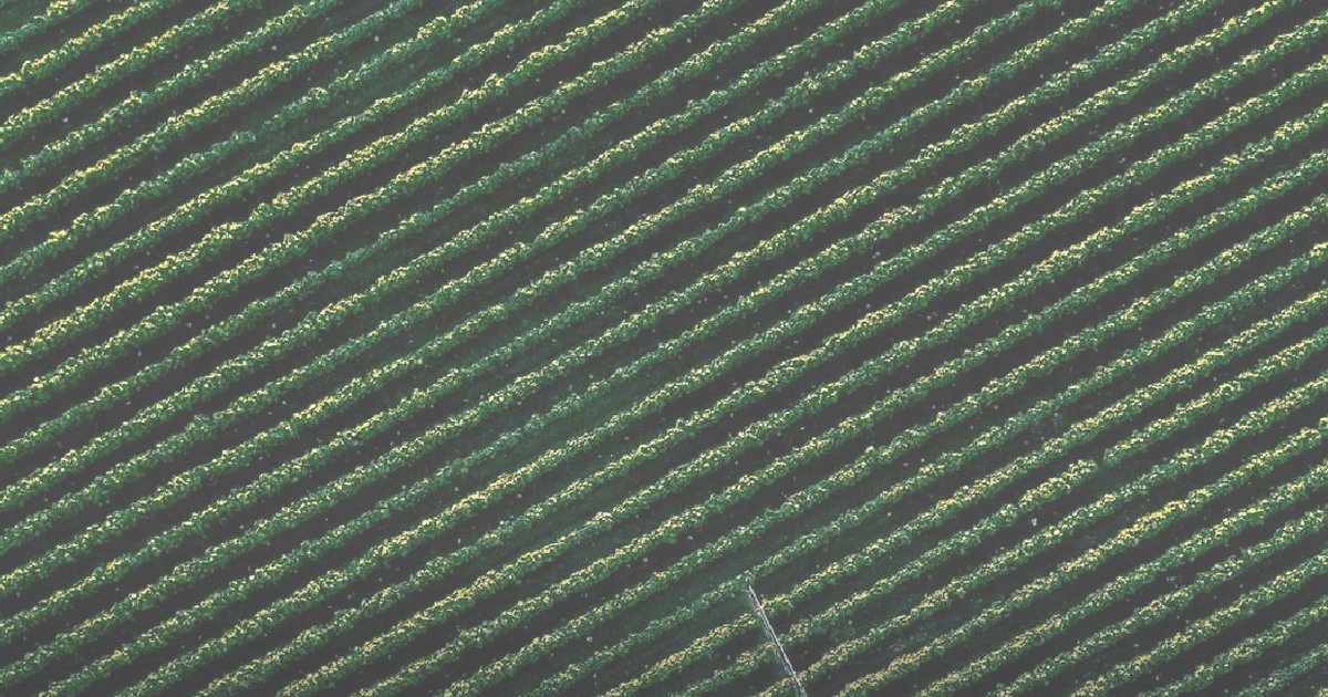 Capa do Relatório Gerencial de 09/2026 do XPCA11 (XP CRÉDITO AGRÍCOLA-FUNDO DE INVESTIMENTO NAS CADEIAS PRODUTIVAS AGROINDUSTRIAIS IMOB.-FIAGRO-IMOB.)